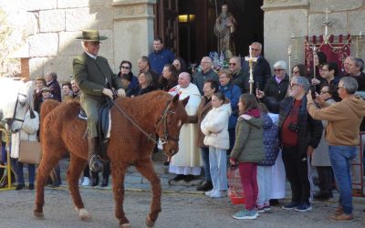 Fiesta de San Antón en Sonseca: Bendición de los animales